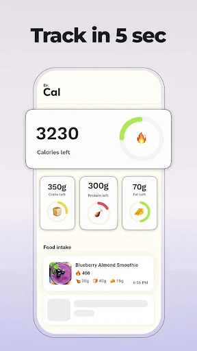 Dr Cal quick calorie tracking dashboard showing 3230 calories left, macros breakdown, and blueberry smoothie food log