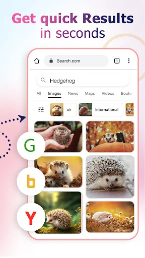 Search results display showing multiple hedgehog images from Google, Bing, and Yahoo via reverse image search finder tool with quick retrieval