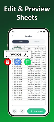 Edit & Preview Sheets screen showing Excel data table with columns, editing tools, Invoice ID label field, and Download button for converted files.