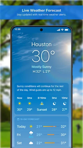 Live weather forecast for Houston showing 30°F temperature, mostly sunny conditions, and hourly daily weather forecast