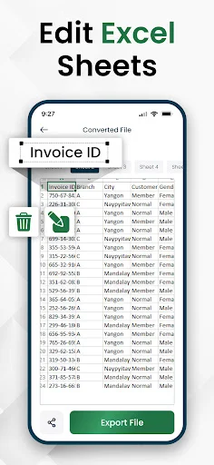 Edit Excel sheets screen showing converted spreadsheet data with columns like Invoice ID, Branch, City and export functionality