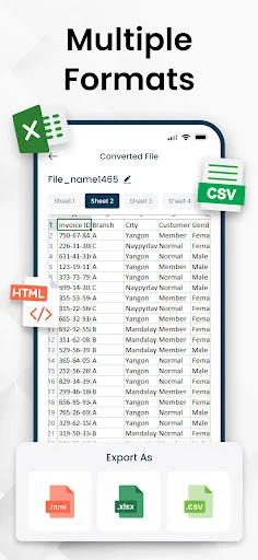 Multiple export formats feature with converted Excel spreadsheet and export options for HTML, Excel XLSX, and CSV formats