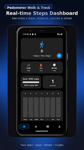 Pedometer dashboard showing daily steps, distance, calories burned, step goals, and weekly activity tracking chart