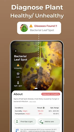 Plant disease diagnosis screen identifying bacterial leaf spot infection with symptoms, humidity temperature data and treatment recommendations