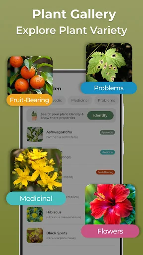 Plant gallery interface showcasing categorized plant varieties including fruit-bearing medicinal flowers and problem identification options