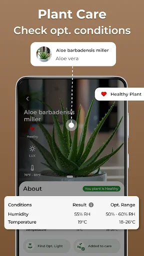 Plant Care conditions checker displaying Aloe vera as healthy with humidity 55% RH and temperature 19°C