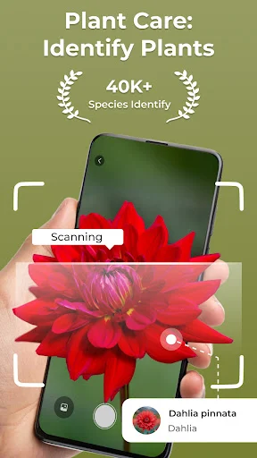Plant Care app main screen showing AI plant identification scanning a red Dahlia flower on smartphone with 40000 species database