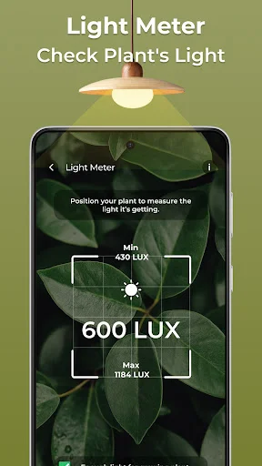 Light meter tool measuring plant light exposure displaying 600 LUX with minimum and maximum light range guidelines