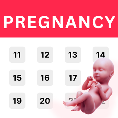 Pregnancy Tracker & Calculator