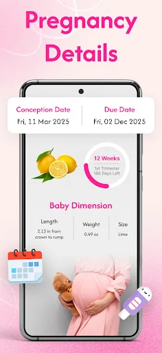 Pregnancy Details screen showing 12 weeks progress, baby dimension with lemon size comparison, conception and due date tracker