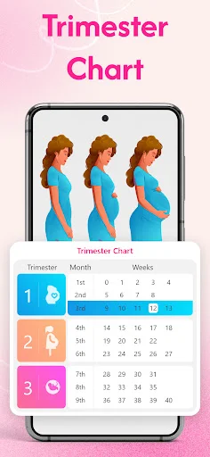 Trimester Chart showing pregnancy weeks organized by first, second, and third trimester with visual pregnancy progression icons