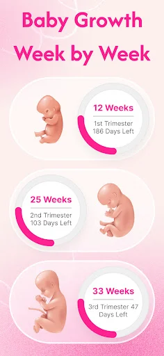 Baby Growth Week by Week tracker displaying fetal development at 12, 25, and 33 weeks with trimester countdown timers