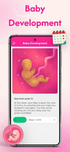Baby Development screen showing week 12 fetal growth illustration with detailed pregnancy milestone information and progress